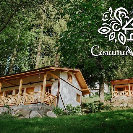 Cosama Village シギショアラ エクステリア 写真
