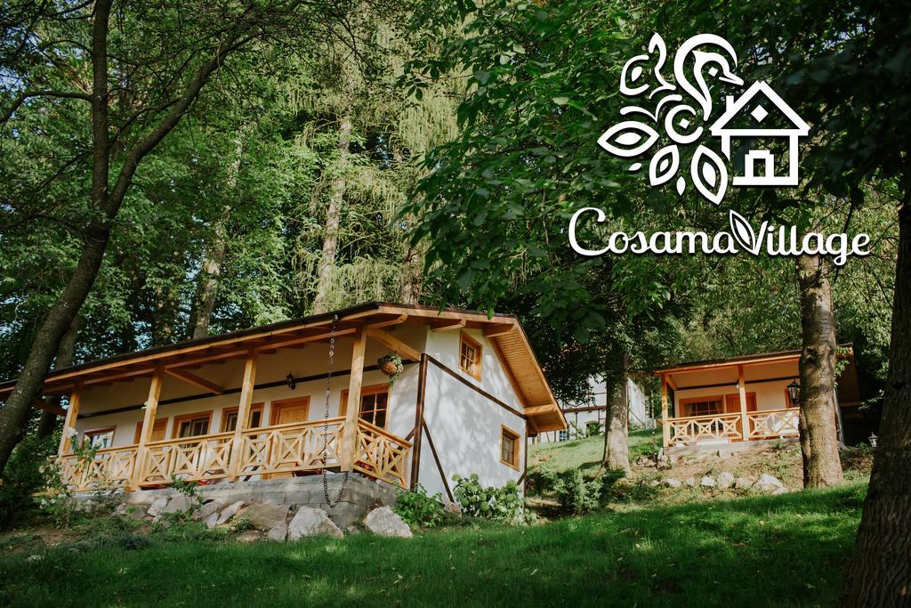 Cosama Village シギショアラ エクステリア 写真